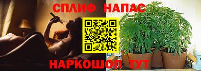 гашик Можайск